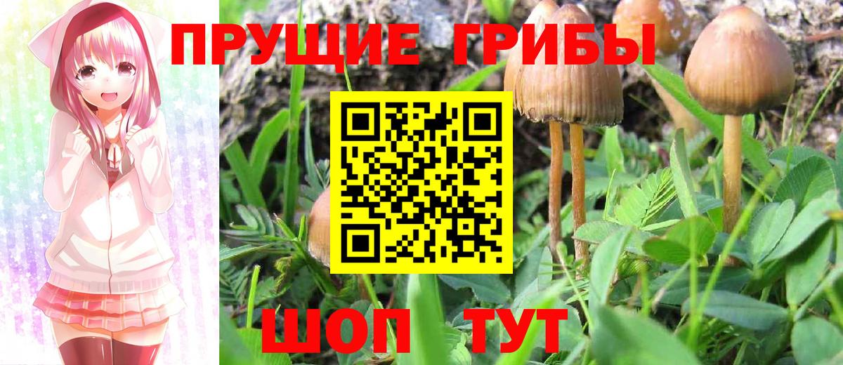 Псилоцибиновые грибы Magic Shrooms Петропавловск-Камчатский