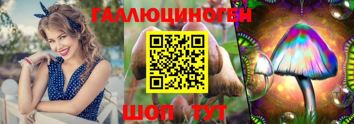 Галлюциногенные грибы Cubensis  Вход с VPN  Галлюциногенные грибы GOLDEN TEACHER  Петропавловск-Камчатский 
