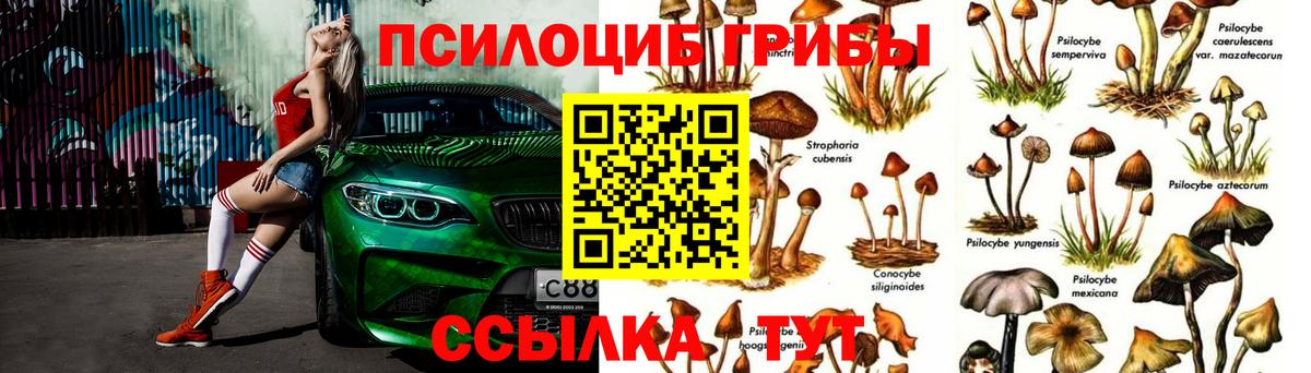 КОКАИН Петропавловск-Камчатский